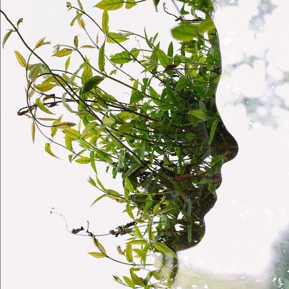 Meet your Posher, Darlene - Picture 2 of 14